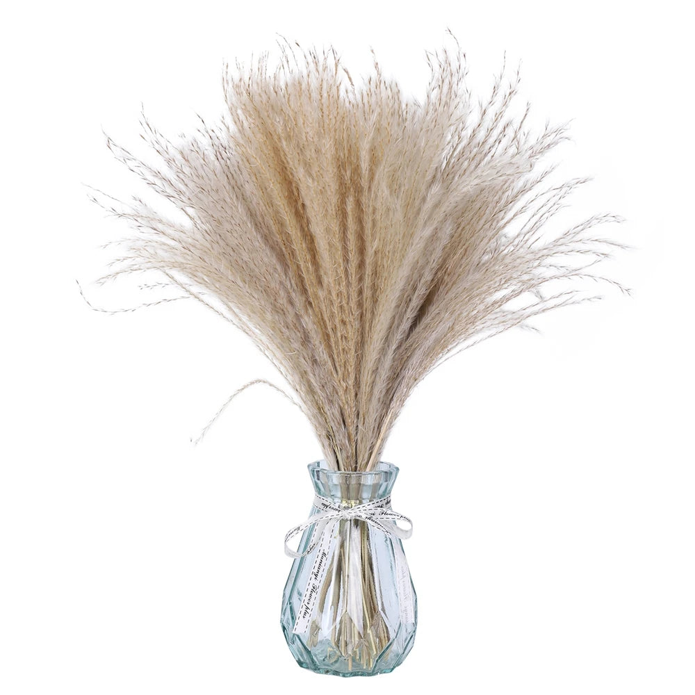 80Pcs Natural Dried Flower And Pampas Grass