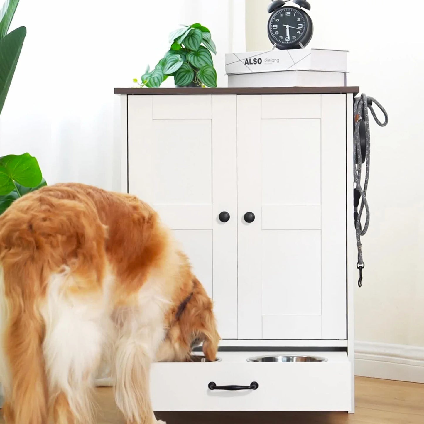 Pet Feeding Station And Food Storage Cabinet with 3 Hooks