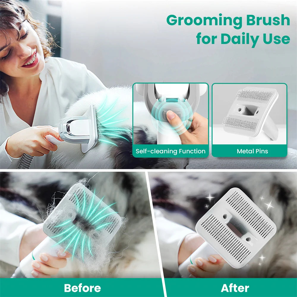 Professional Pet Grooming Kit & Vacuum