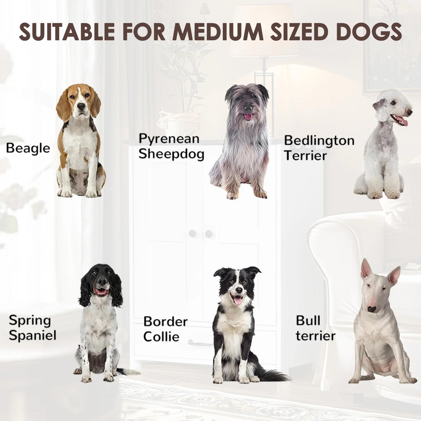 Pet Feeding Station And Food Storage Cabinet with 3 Hooks