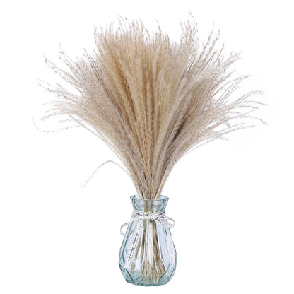 80Pcs Natural Dried Flower And Pampas Grass