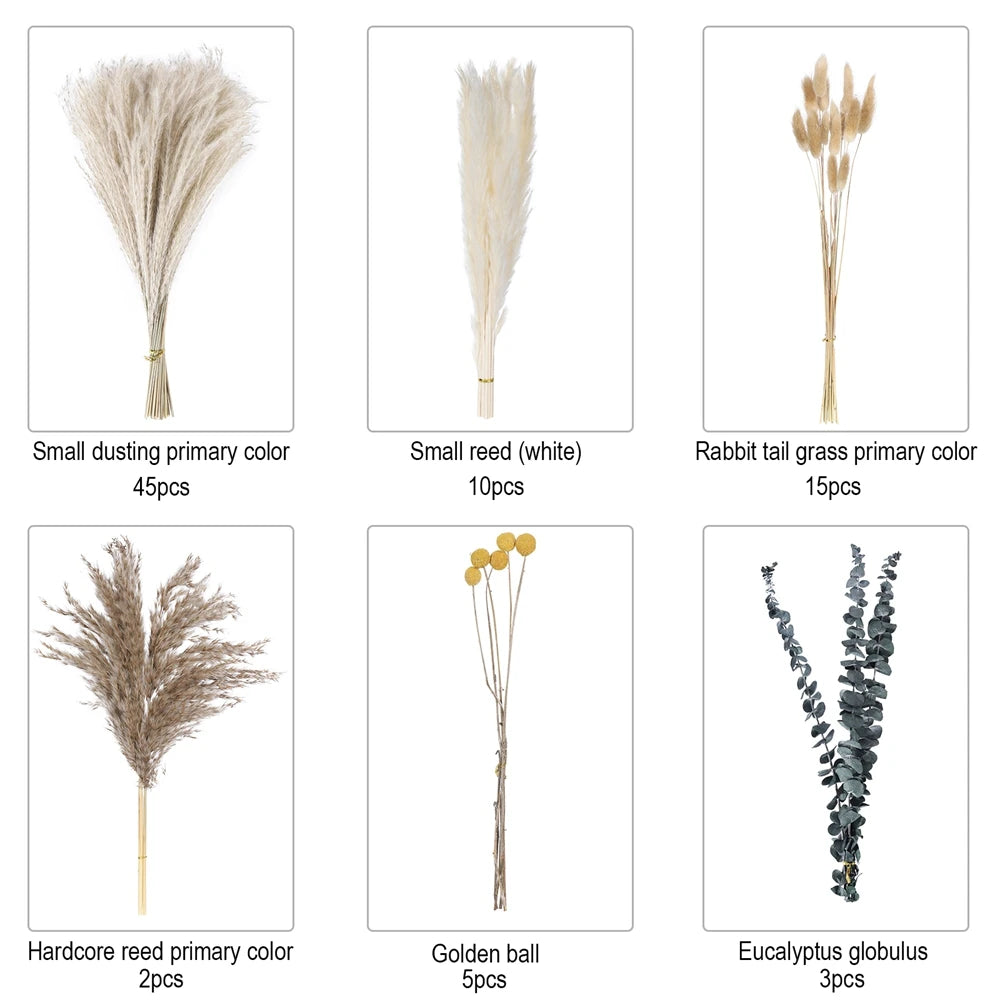 80Pcs Natural Dried Flower And Pampas Grass