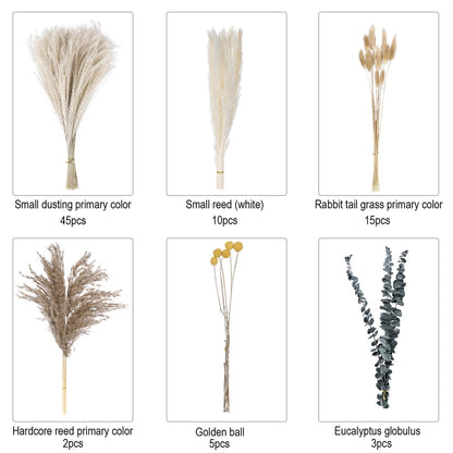 80Pcs Natural Dried Flower And Pampas Grass