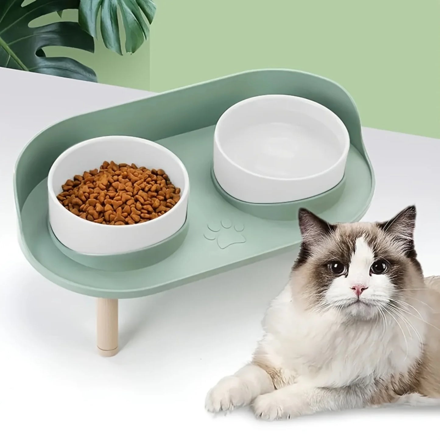 Elevated Pet Double Feeding Bowl for Water and Food