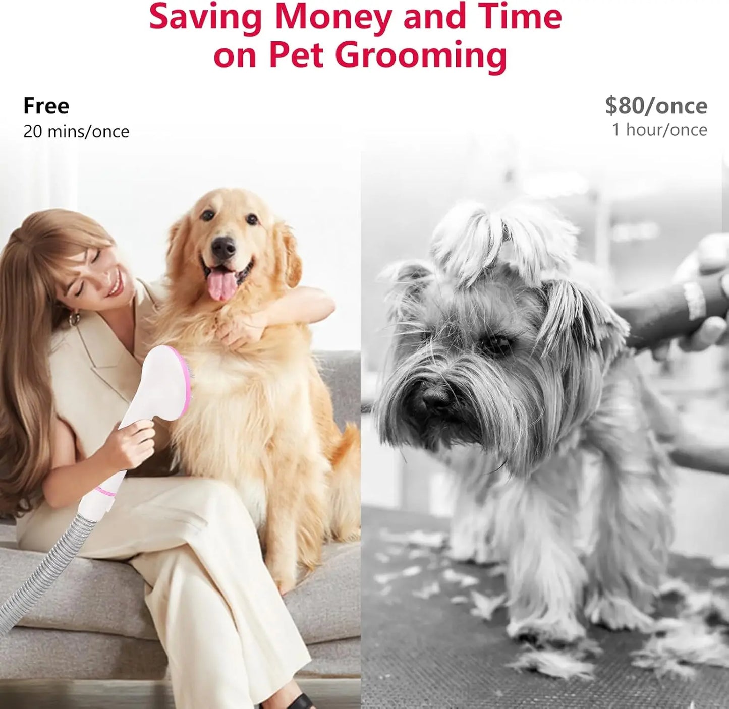 Multi-Functional Pet Grooming Vacuum Kit