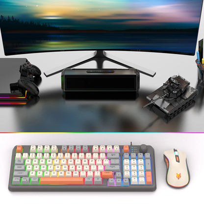 94 Key Customized Gaming Keyboard with Mouse RGB Backlit Wired Keyboard