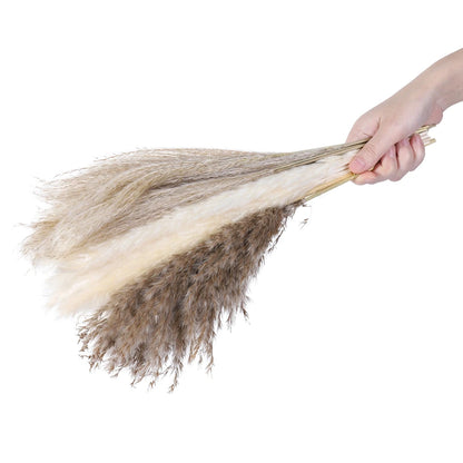 80Pcs Natural Dried Flower And Pampas Grass