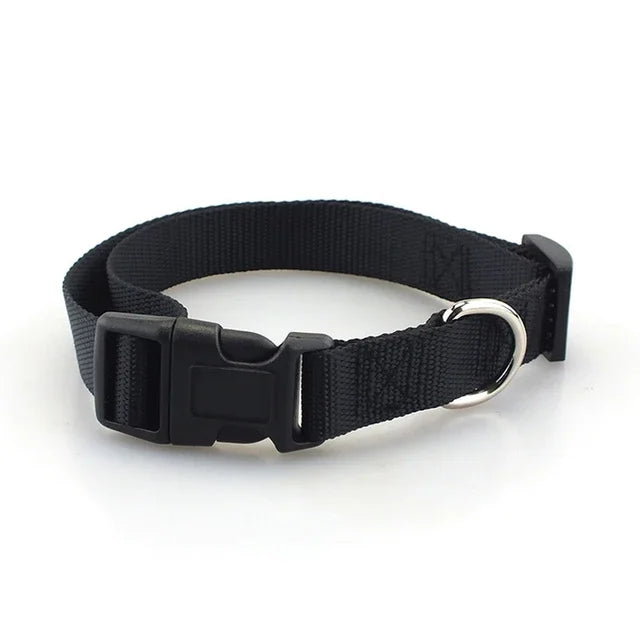 Heavy Duty Adjustable Nylon Dog Collar