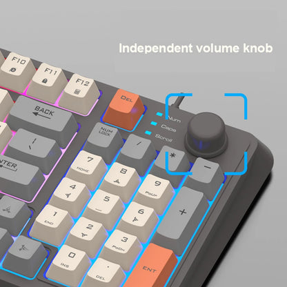 94 Key Customized Gaming Keyboard with Mouse RGB Backlit Wired Keyboard