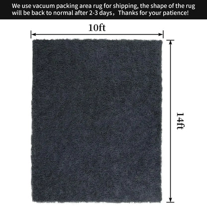 Shaggy Area Rug 10x14 Feet