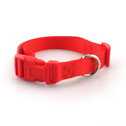 Heavy Duty Adjustable Nylon Dog Collar