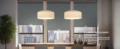 Blackout Cordless Roller Shades for Windows With Thermal Insulated Fabric