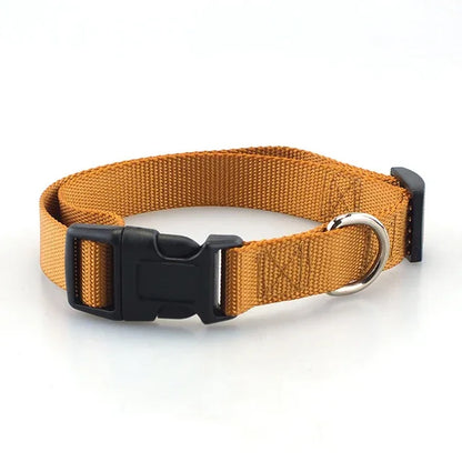 Heavy Duty Adjustable Nylon Dog Collar