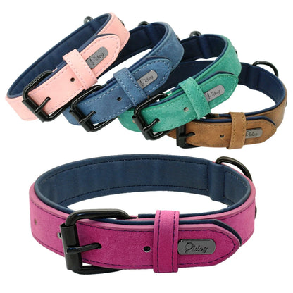 High-Quality Soft Padded Leather Collar for Small, Medium and Large Pets