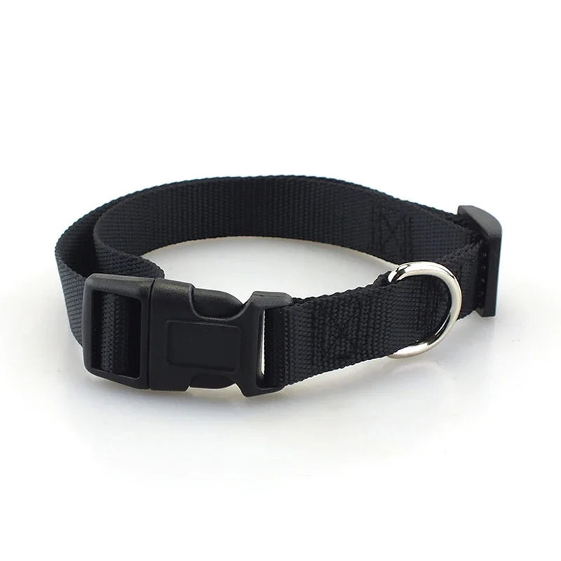 Heavy Duty Adjustable Nylon Dog Collar