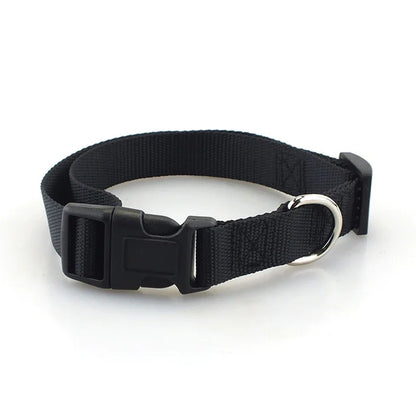 Heavy Duty Adjustable Nylon Dog Collar