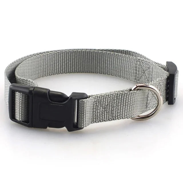 Heavy Duty Adjustable Nylon Dog Collar