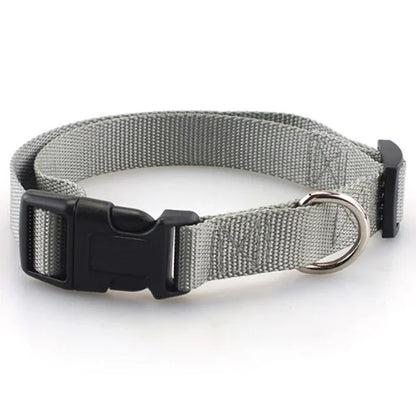 Heavy Duty Adjustable Nylon Dog Collar