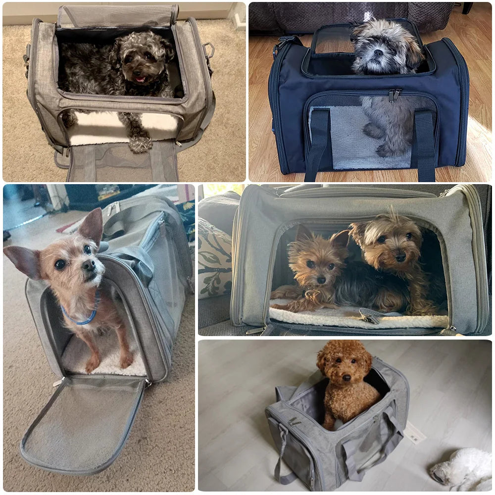 Soft Side Backpack Transport Carrier For Small Pets