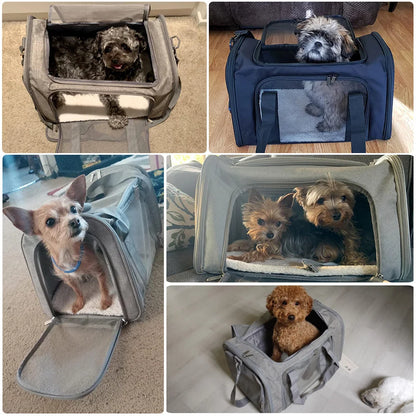 Soft Side Backpack Transport Carrier For Small Pets