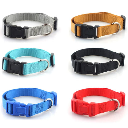 Heavy Duty Adjustable Nylon Dog Collar