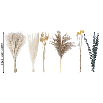 80Pcs Natural Dried Flower And Pampas Grass