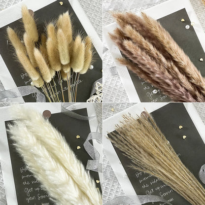 90 Pcs, 17.5 Inch White & Natural Dried Pampas Grass Set