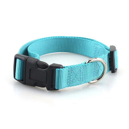 Heavy Duty Adjustable Nylon Dog Collar